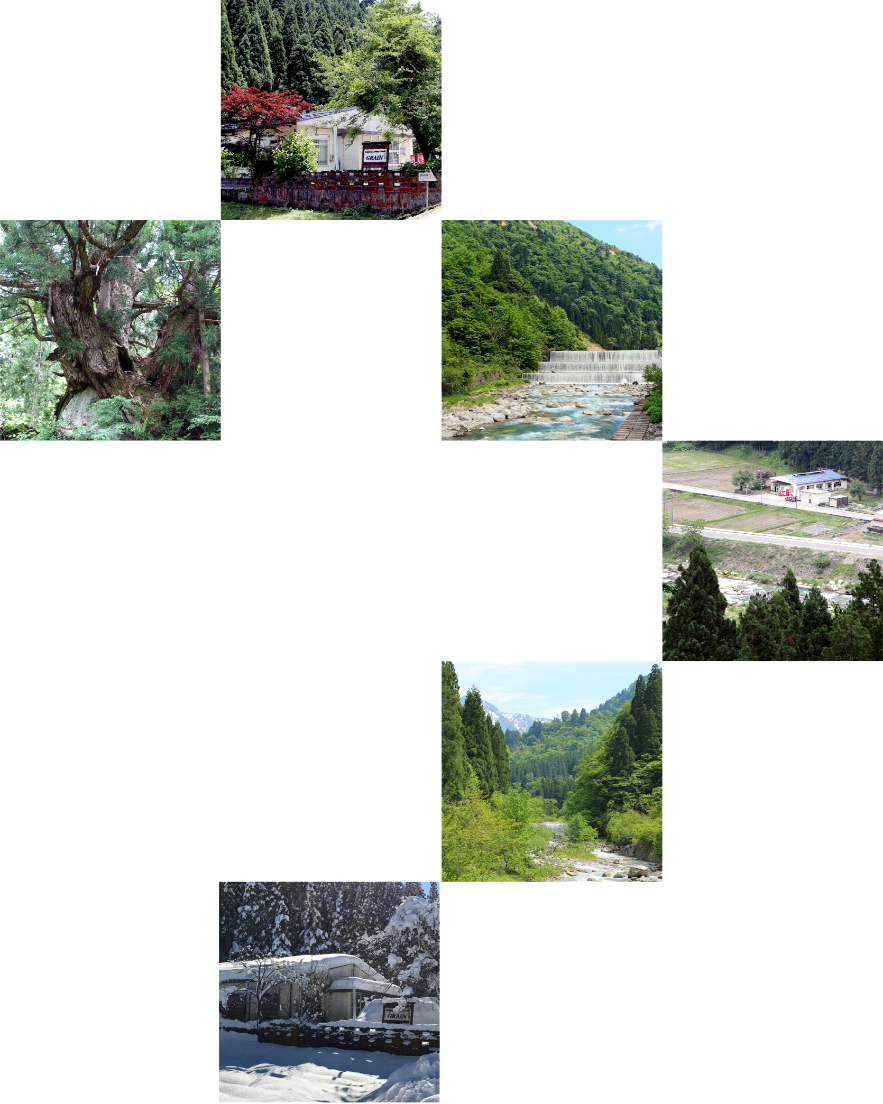 gl_img5